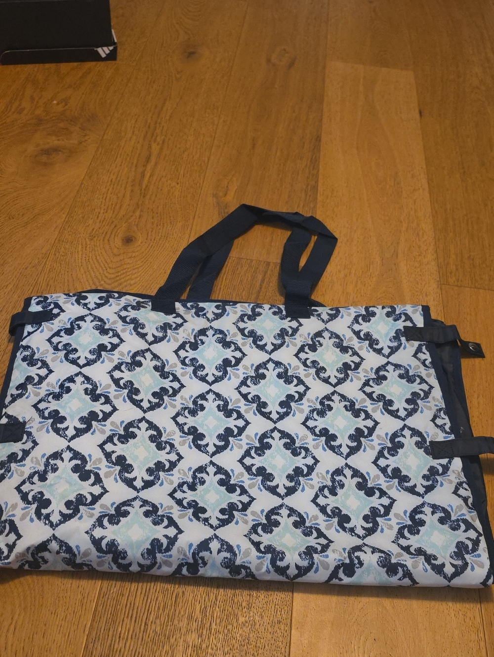 Thirty-One Garment Bag